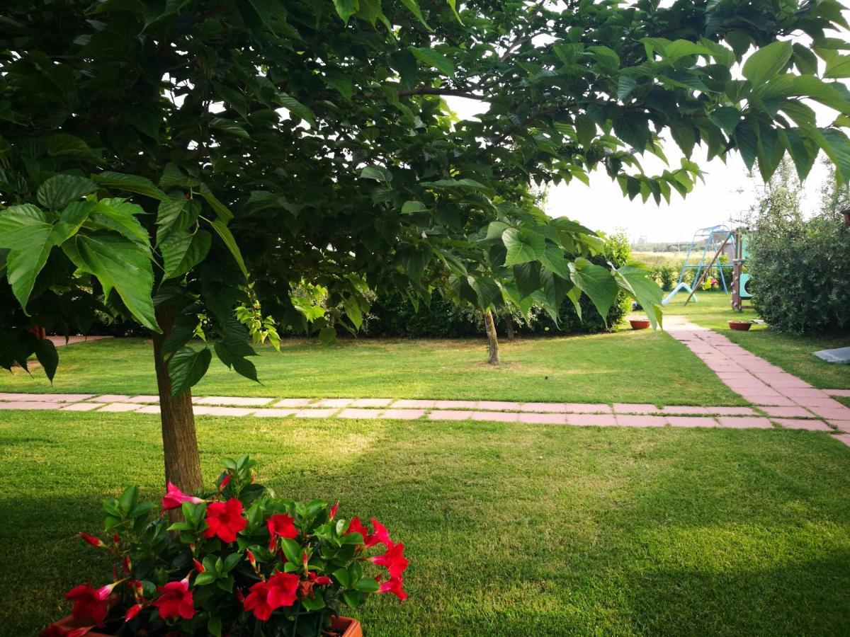 Agriturismo Alturetta Riotorto Bagian luar foto